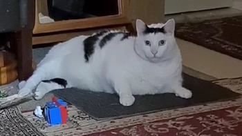 Cuando el cuerpo reciba menos