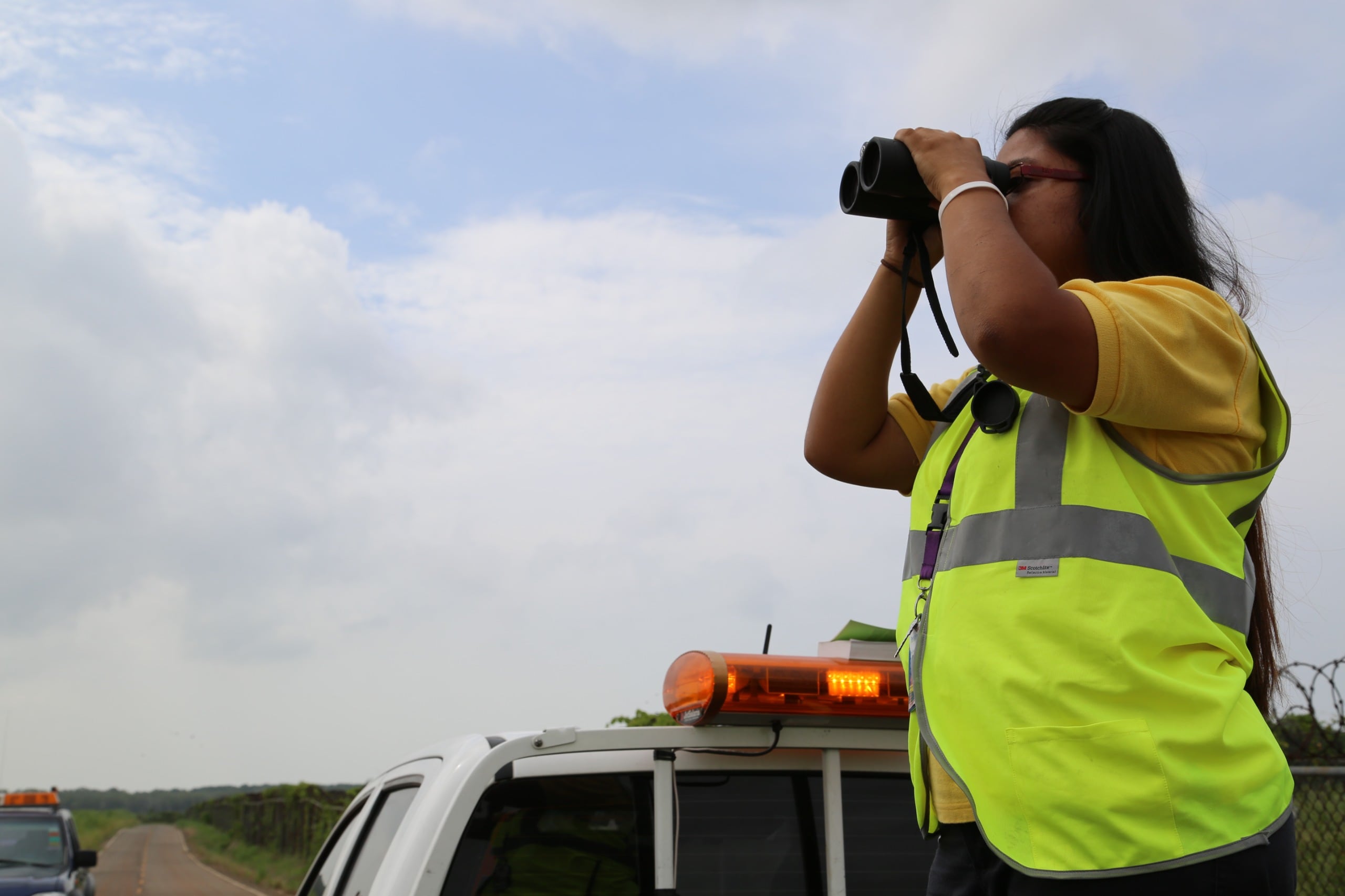 Entre septiembre y diciembre, Panamá registra el desplazamiento de numerosas especies migratorias, lo que exige reforzar la vigilancia en las rutas utilizadas por las aeronaves. Cortesía Tocumen