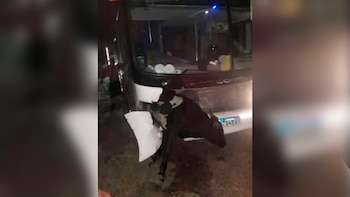 Un micro con hinchas de Estudiantes chocó contra una vaca cuando volvían a La Plata tras la final con Rosario Central