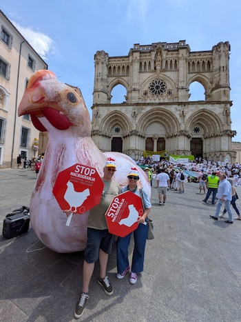 Protesta contra la macrogranja de gallinas en San Clemente, Cuenca. (Cedida a Infobae)