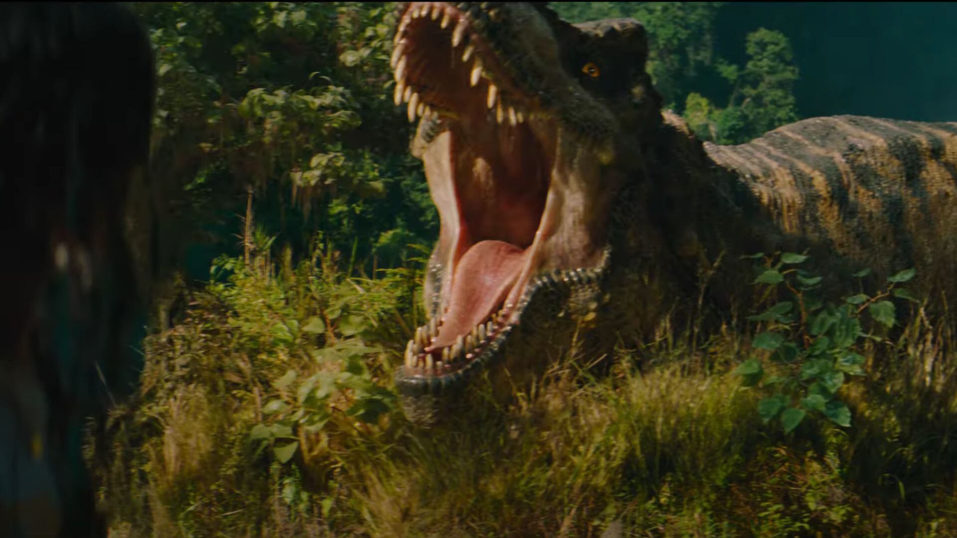 (Universal Pictures)