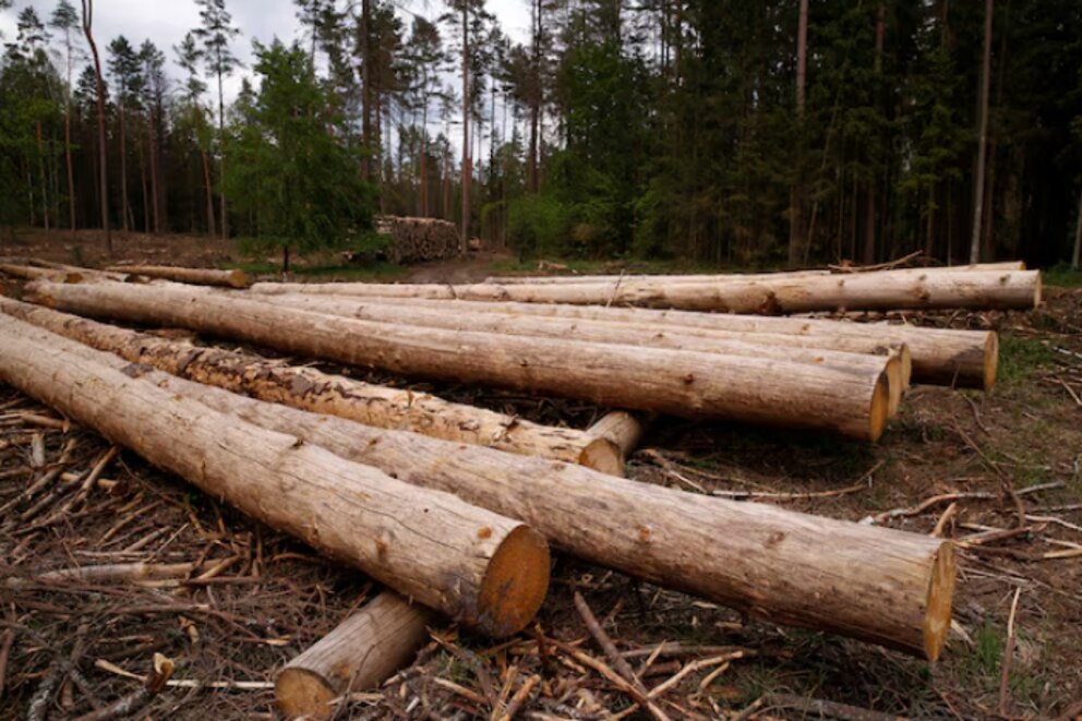 La Unión Europea endurece controles por deforestación y complica exportaciones argentinas y brasileñas