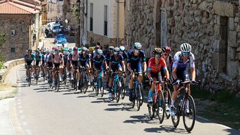 Esta es la edición 44