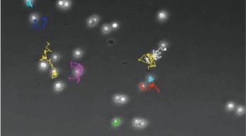 Imagen ZN3CFTM4KFHPPBMBA7VSVN5PZU