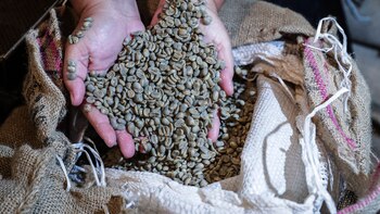 Las exportaciones de café brasileño