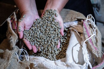 Fotografía de archivo de granos