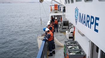 Varios trabajadores con cascos y chalecos salvavidas manipulan una red en la cubierta de un barco con la palabra IMARPE junto a cajas con peces.