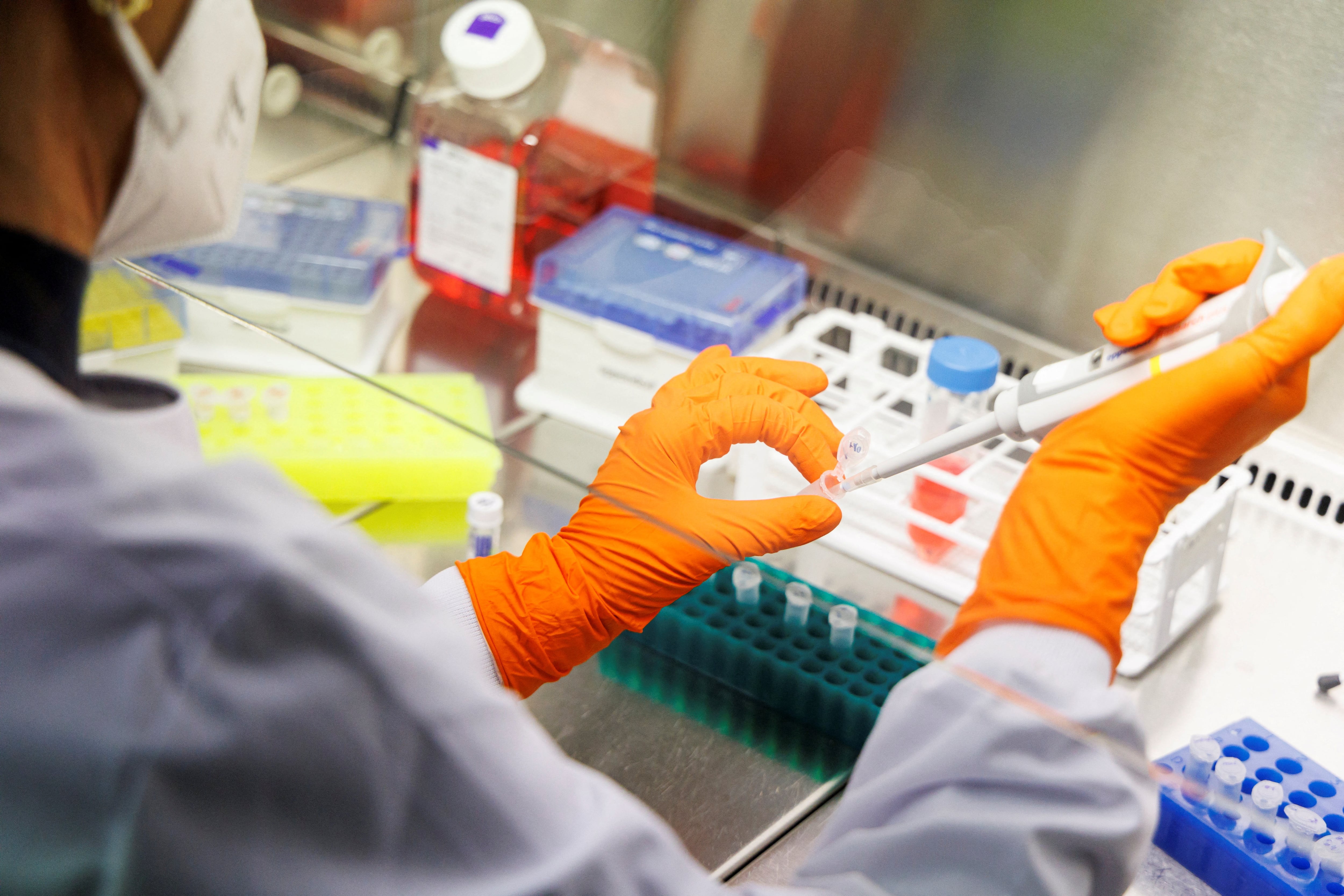 El Instituto Nacional de Salud (NIH) colabora con el FBI y la justicia federal en la investigación contra los científicos del Rocky Mountain Laboratories (REUTERS/Lukas Barth/File Photo)
