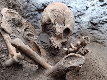 Primer plano de un esqueleto humano antiguo, con el cráneo fracturado y varios huesos expuestos en tierra oscura y húmeda, en un contexto de excavación