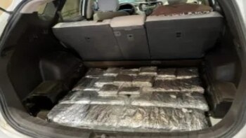 Drogas decomisadas en la frontera