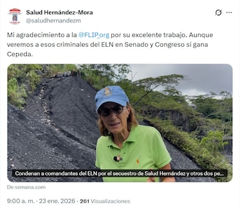 Hernández calificó de "criminales" a