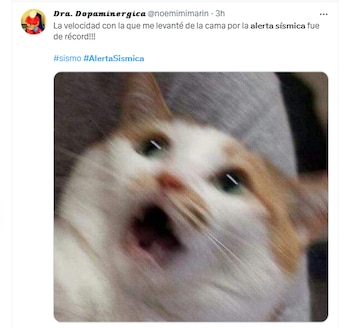 memes sismo 3 de marzo
