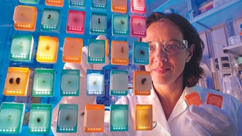 Cómo se innova en el