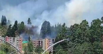 Las causas del incendio en