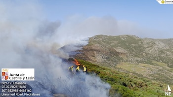 Efectivos trabajan en el incendio de Burgohondo. (Naturaleza Castilla y León/X)