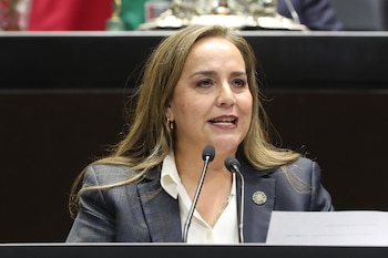 Verónica Pérez Herrera, diputada del PAN, señala que las condiciones labores tradicionales inhiben la conciliación entre trabajadores y empresas. (Foto: Cámara de Diputados)