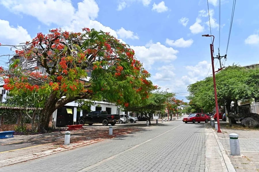 Anapoima cuenta con una amplia oferta de hoteles, fincas y alojamientos para pasar el fin de semana - crédito Gobernación de Cundinamarca/Alcaldía Municipal de Anapoima