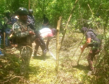 Personal militar y policial intervino un sector vinculado a la estructura criminal Los Tiguerones.