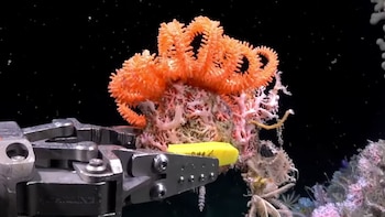 Finalizó la transmisión de “Vida