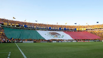 Aficionados de Tigres mostrando una