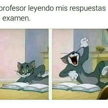 Memes día del maestro foto: