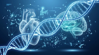 Gran hélice de ADN en primer plano; detrás, modelos translúcidos de corazón y cerebro, rodeados por partículas y conexiones digitales en un fondo azul oscuro.