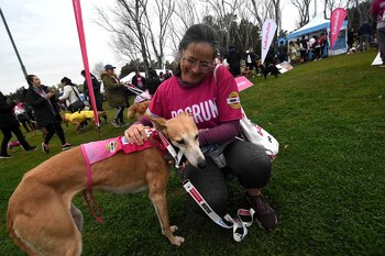 Este año, DogRun coincide con