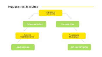GRÁFICA 4: Comparativo entre Jueces