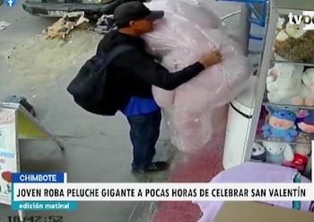 Roban oso gigante en Chimbote.