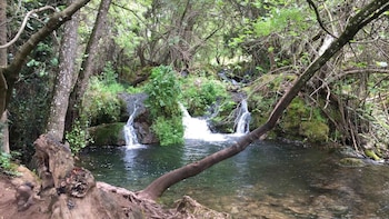 El Martinete, en Sevilla