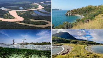 América Central y del Sur