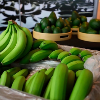 Primer plano de un racimo de bananos verdes y bananos individuales en una caja, con cuencos de aguacates verdes al fondo