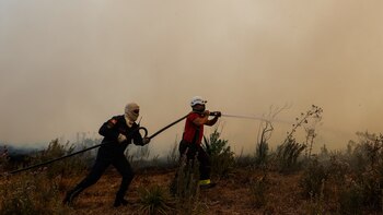 Incendios forestales siguen afectando a