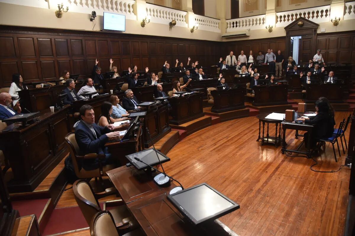 El Senado aprobó la Declaración de Impacto Ambiental (Foto: Senado de Mendoza)