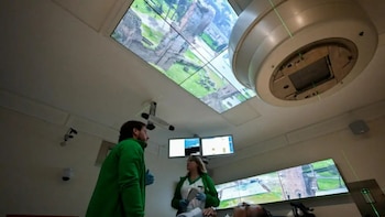 El hospital romano que prescribe arte contra el cáncer: ruinas antiguas, música elegida por el paciente y la promesa de reavivar las ganas de vivir