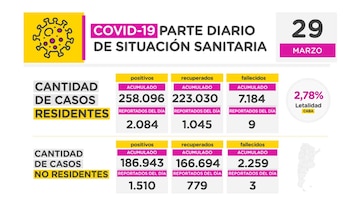 Informe diario COVID-19 CABA 29-3 (2)