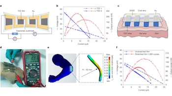 Detalles técnicos de la banda