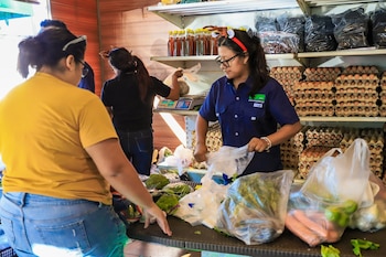 Según el MAG, el 70 % de los productos ofertados en los agromercados son de origen nacional y para 2026 se proyecta alcanzar el 80 %. (Foto cortesía MAG)