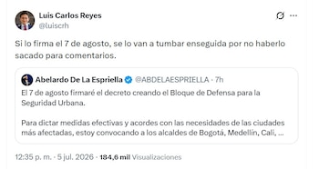 Luis Carlos Reyes afirmó que el decreto podría ser tumbado por falta de participación ciudadana - crédito @luiscrh/X