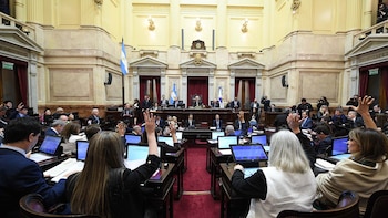 El Senado busca sesionar el jueves con salud mental y guiños fiscales para inversiones desde USD 12 millones