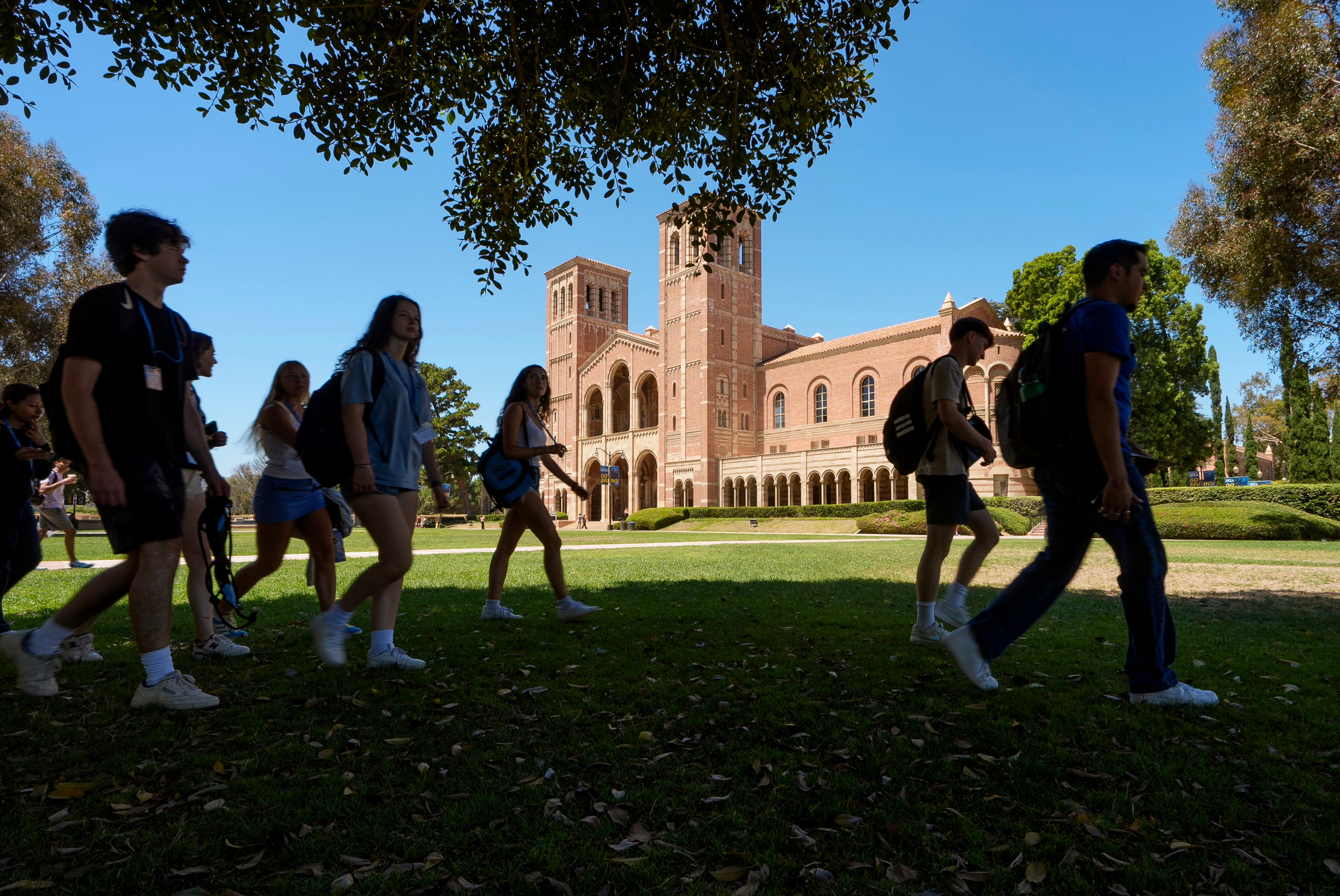 Especialistas en educación recomiendan analizar el costo real de la carrera junto con las proyecciones salariales (AP Foto/Damian Dovarganes, archivo)