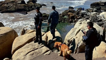 Dos semanas de incertidumbre y un Peugeot blanco abandonado frente al mar: ¿qué pasó con María Soledad Baasch?