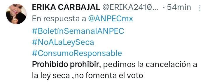 Usuarios de redes sociales opinan sobre la ley seca en CDMX. (Captura de pantalla: @ERIKA24108027, X)