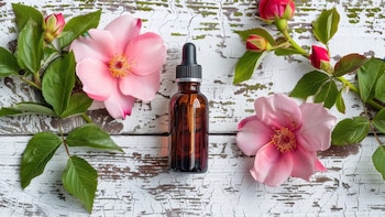 Cuáles son los beneficios del