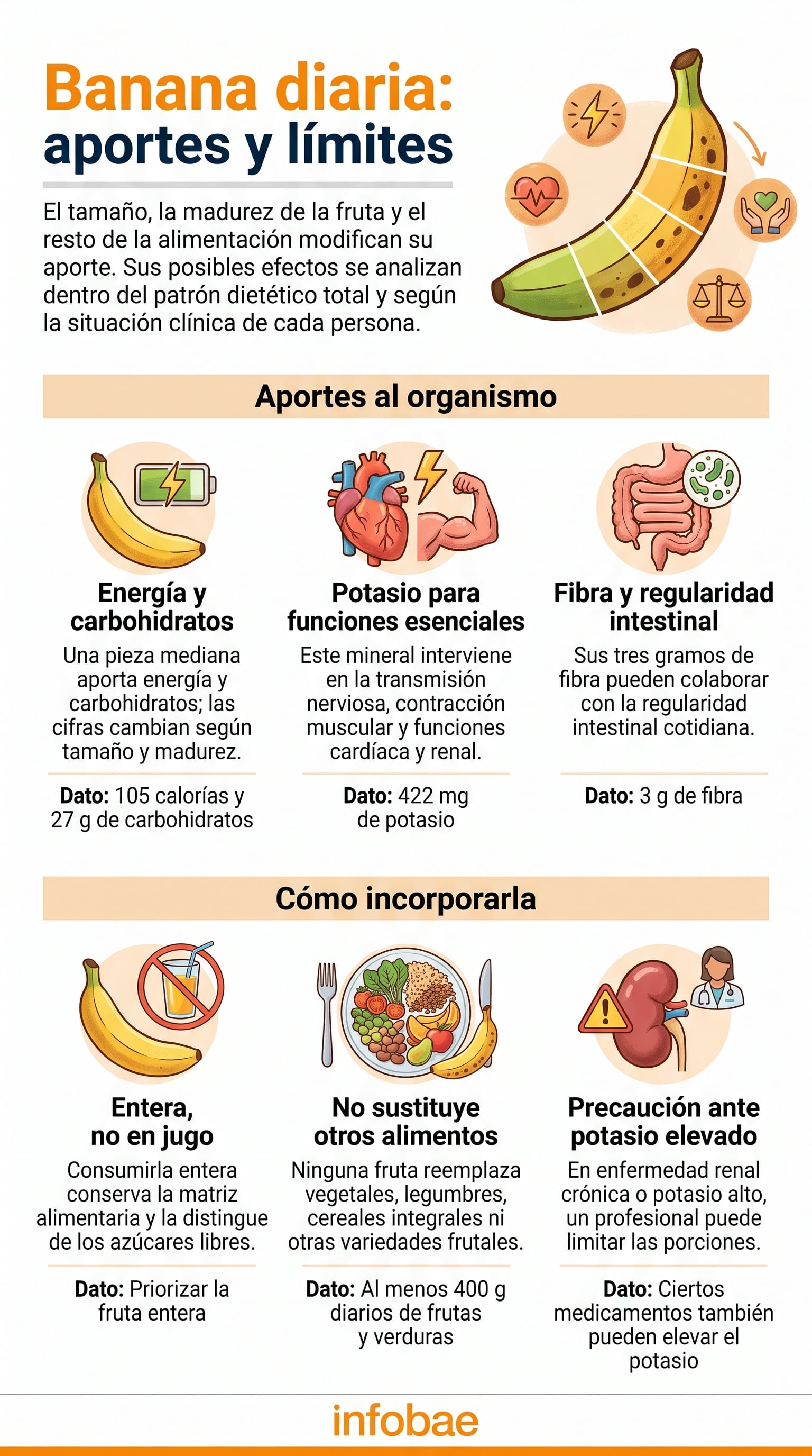 El potasio contribuye al funcionamiento de los nervios, los músculos, el corazón y los riñones. (Imagen Ilustrativa Infobae)