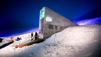 Las bóvedas de semillas que