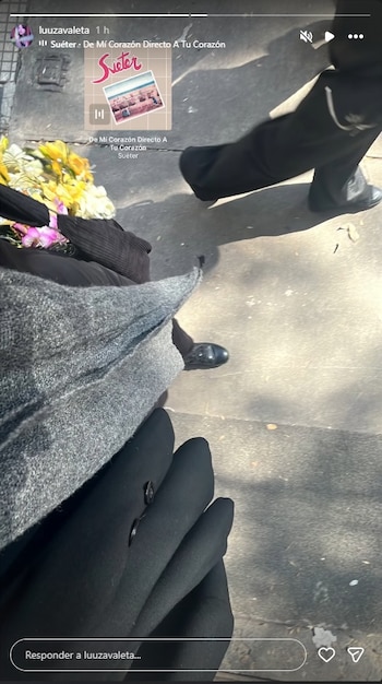 Captura de pantalla de una historia de Instagram en la que una persona camina por la vereda sosteniendo un ramo de flores