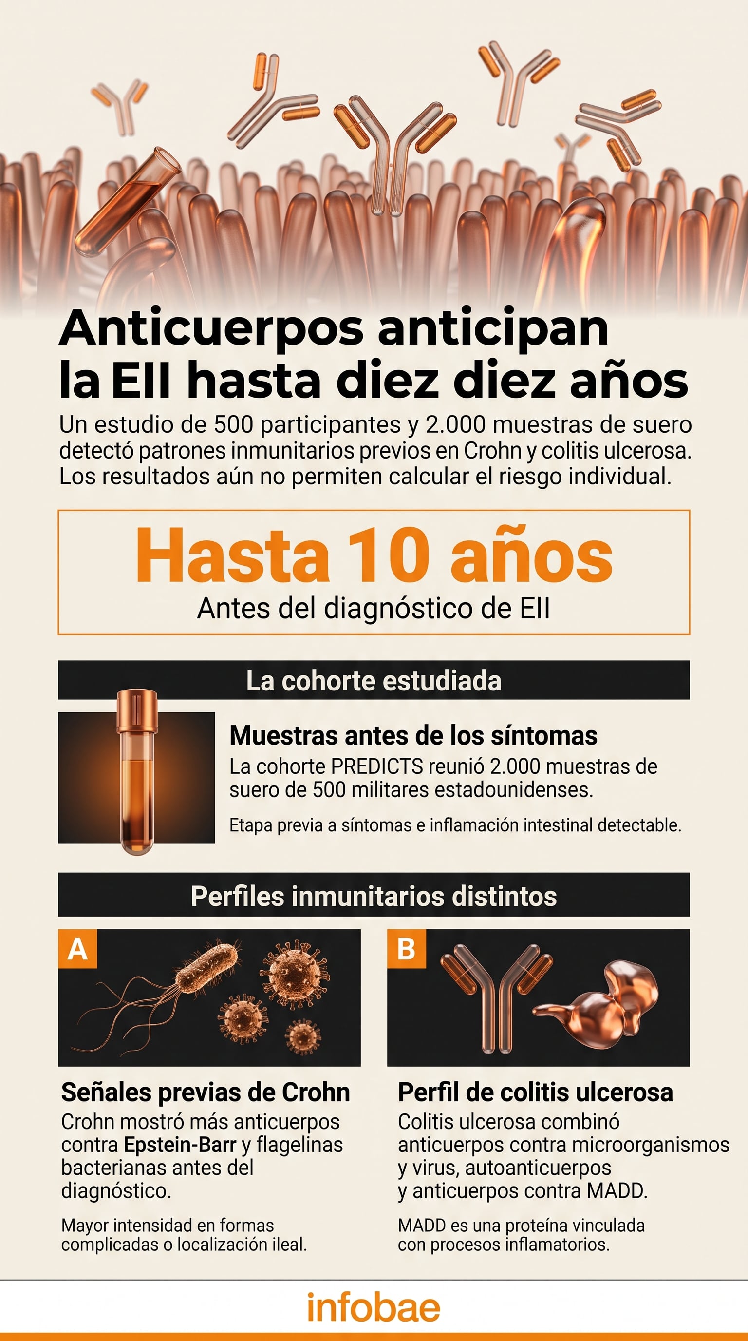 Una investigación con la cohorte militar PREDICTS en Estados Unidos identifica cambios inmunitarios previos al diagnóstico de la enfermedad de Crohn y la colitis ulcerosa. (Imagen Ilustrativa Infobae)