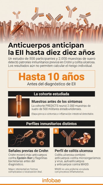 Infografía con ilustraciones de anticuerpos, vellosidades intestinales, un tubo de muestra, bacterias y textos sobre la enfermedad intestinal.