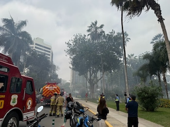 Camiones de bomberos, efectivos con trajes de protección y humo entre árboles y edificios en una vía pública
